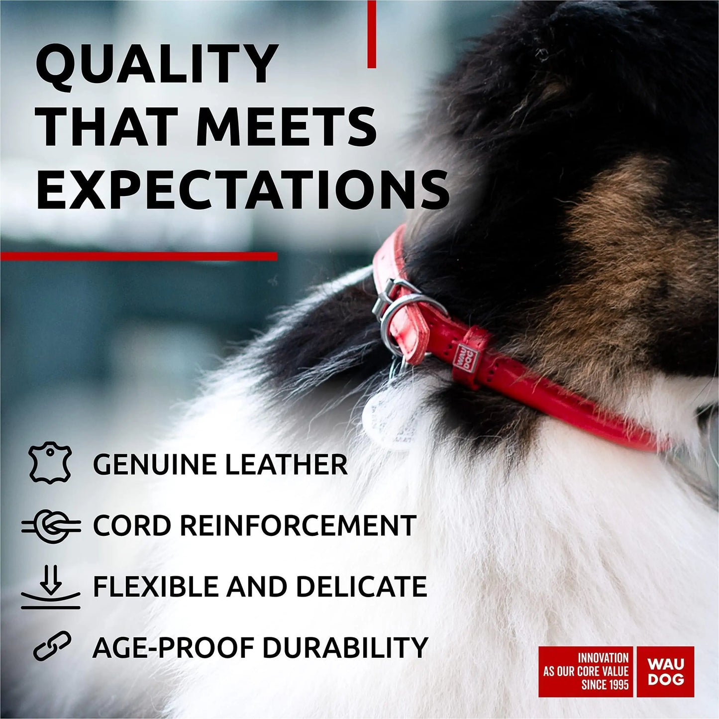Ultra Soft Rolled Leather Dog Collar for Small Dogs Soft Padded Dog Collars for Medium Dogs Puppy Collars for Large Breed Dogs Male and Female Dog Collar